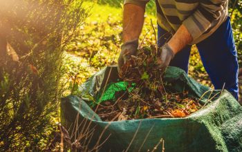 Freshen Up Your Yard Without Heavy Lifting Get Quick Help With Yard Debris Removal